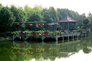 91香蕉视频色片園