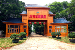 湖南91香蕉视频色片集團