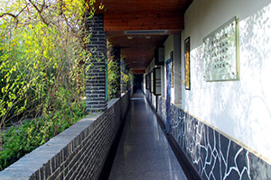 91香蕉视频色片園長廊