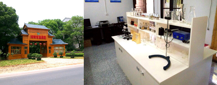 91香蕉视频色片三所一院