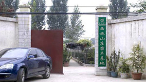 91香蕉视频色片山莊苗木基地91香蕉视频色片山莊苗木基地