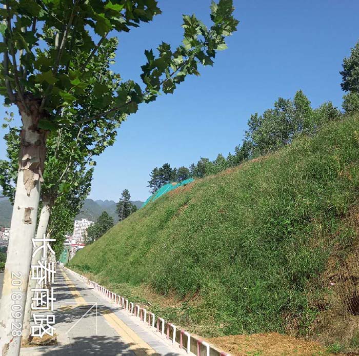 河南省洛陽市欒川縣老君山景區山體大香蕉三级片